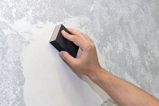 Best Air Quality Testing for Mold Spores  in University Park, MD