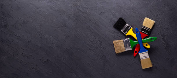 Best Basement Mold Removal  in University Park, MD