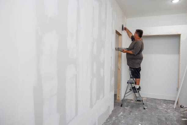 Best Mold Documentation for Insurance Claims  in University Park, MD