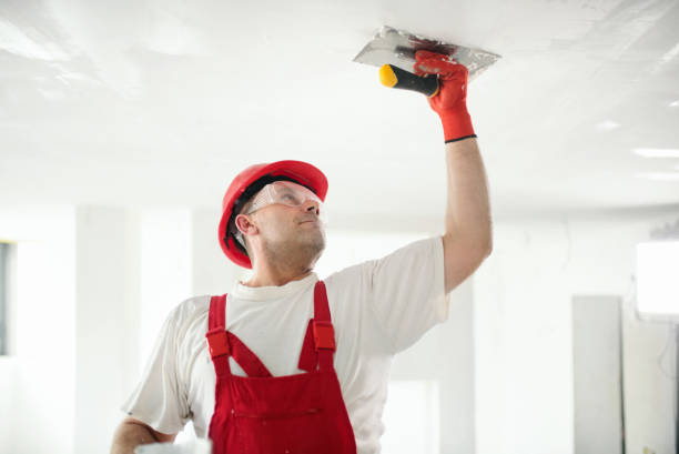 Best Biohazard Mold Removal  in University Park, MD