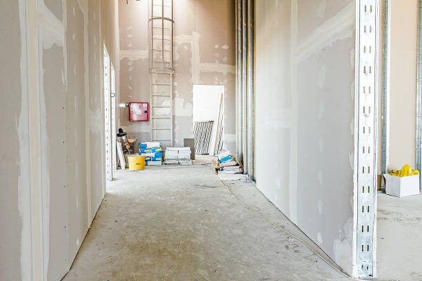 Trusted University Park, MD Mold Removal Experts